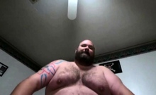 Fat Daddy Bear Takes It Like A Pro