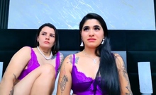 Shemale tranny amateur anally fucked by this lulcky guy
