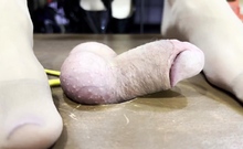Dirty Priest Femdom Store - Close-up Cock And Balls