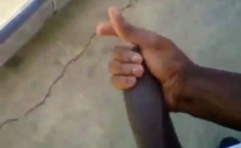 Huge Black Cock Masturbating And Cumming Outdoors